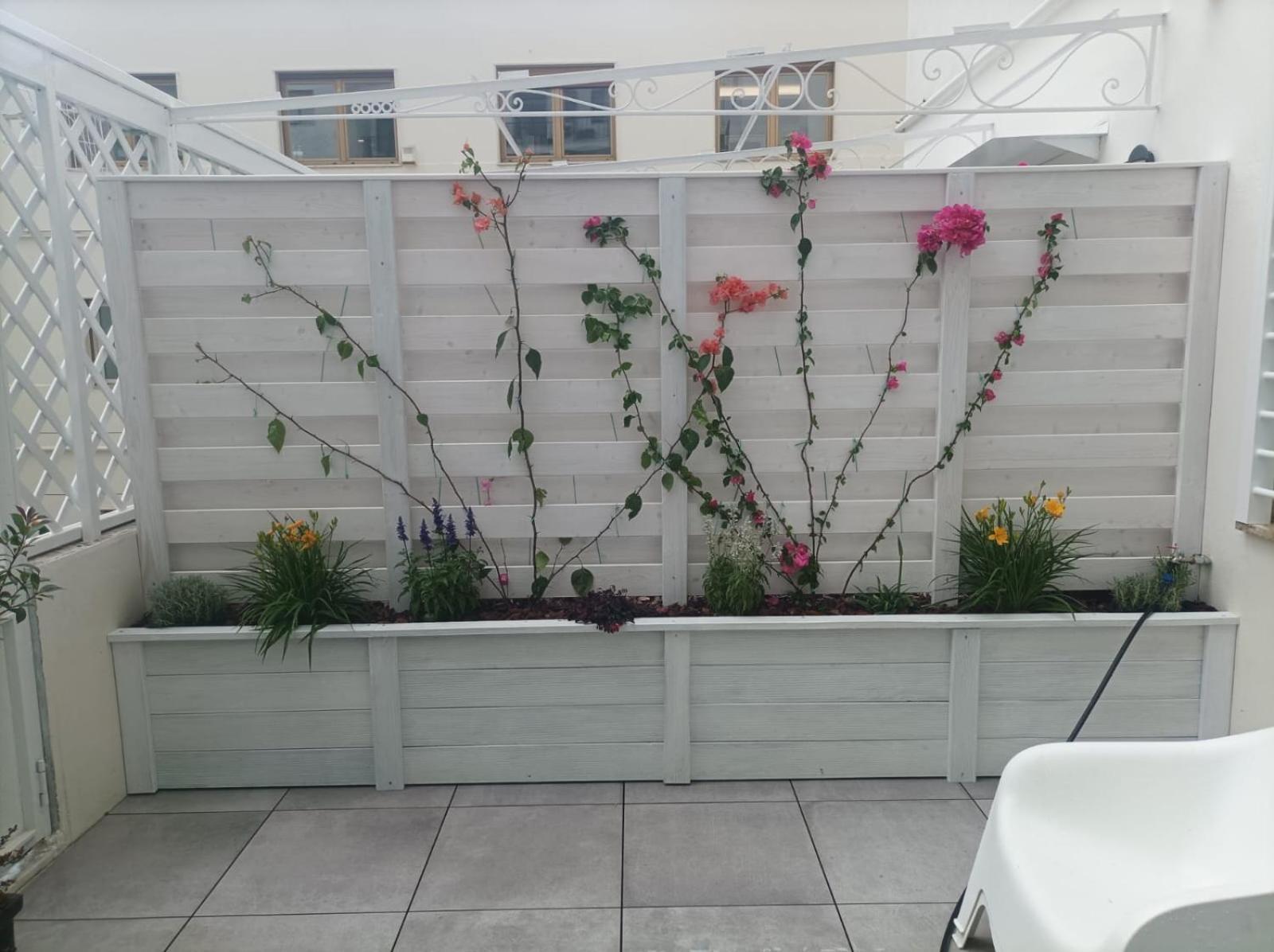 Domus Cervantes Apartment Napoli Ngoại thất bức ảnh